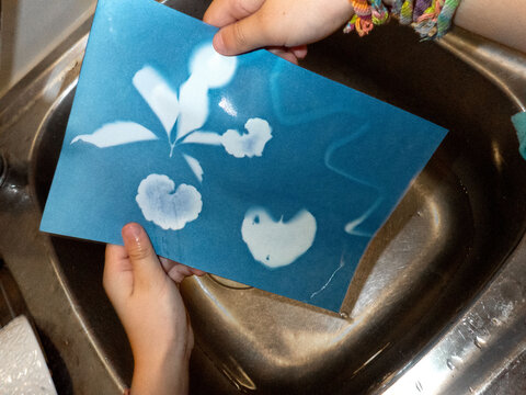 Young girl with colorful bracelets rinses exposed cyanotype paper