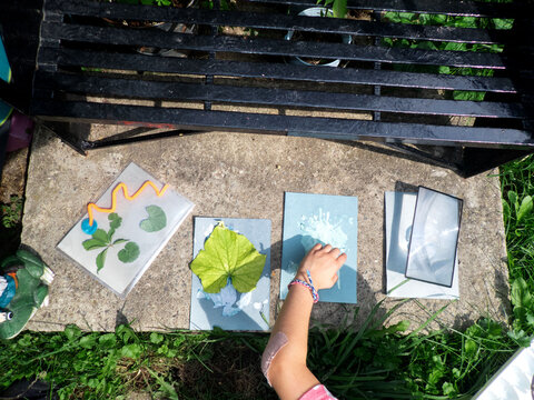 Young girl places various objects on cyanotype paper