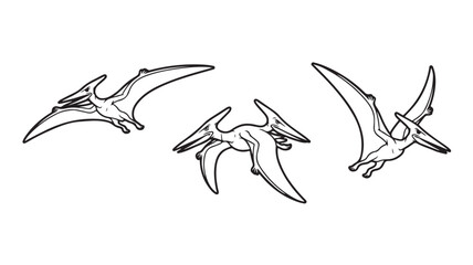 Pteranodon flying dinosaur set with spread wings and long crest prehistoric reptile black and white line art vector © Salman