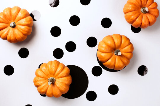Top view of three orange mini pumpkins with black round confetti on white. Graphic black, white and orange Halloween background.