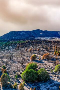 Aerial view of junipers in the West Desert showing patches of scorched trees and surviving green vegetation against a backdrop of mountains near Faust, Utah, United States.