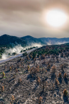 Aerial view of scorched juniper trees in the West Desert landscape with a road winding through the terrain under a hazy, sunlit sky in Faust, Utah, United States.