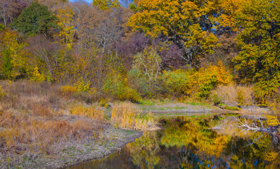 small calm river with red dry autumn forest on coast © Yuriy Kulik