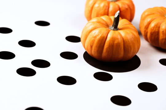 Orange mini pumpkin on a black circle among black polka dot confetti on a white table. Modern Halloween decor with copy space.