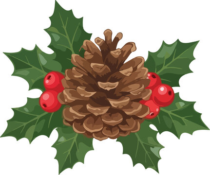Christmas pine cone with holly berries vector illustration