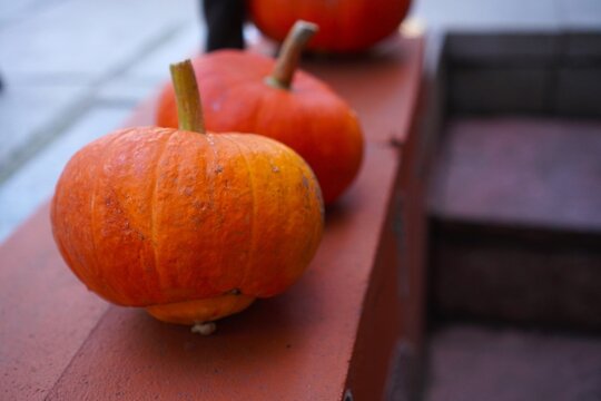 Small natural orange pumpkins on wooden porch railing as eco-friendly autumn decoration. Organic house entrance styling with real pumpkins for Halloween and Thanksgiving holidays.