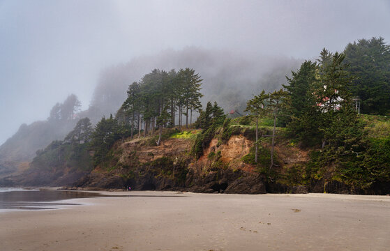 Heceta Beach Foggy Hills
