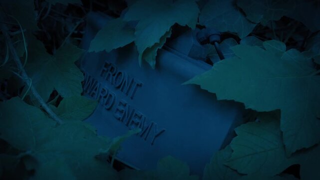 Military Explosive Hidden In Dark Undergrowth
