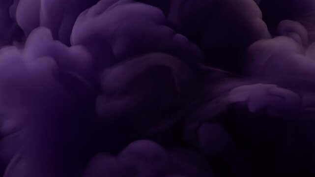 Purple ink clouds billow and curl through dark water in fluid swirling motion