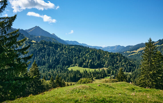 Active senior woman cycling on an electric mountain bike across an alpine meadow with forested slopes and mountain peaks under a blue sky . Allgaeu Alps, Steibis-Oberstaufen, Bavaria, Germany