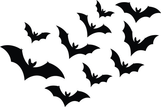 Black Bats Flapping Their Wings on Halloween Spooky Night