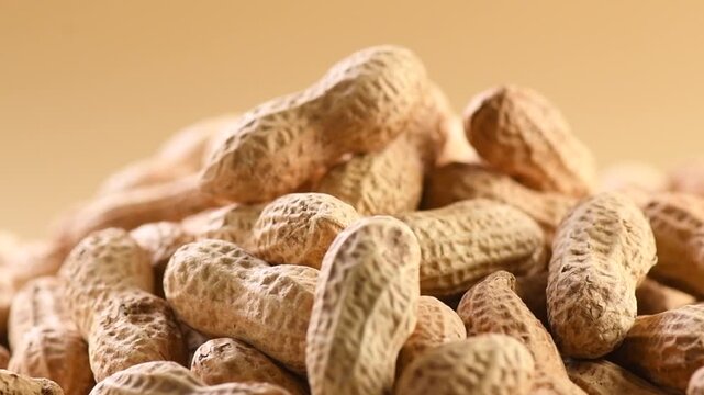 Peanuts. Whole, unshelled nuts close up, rotating. Roasted pile of peanuts in shell over beige background. Organic vegan, vegetarian food. Healthy nutrition concept, closeup 