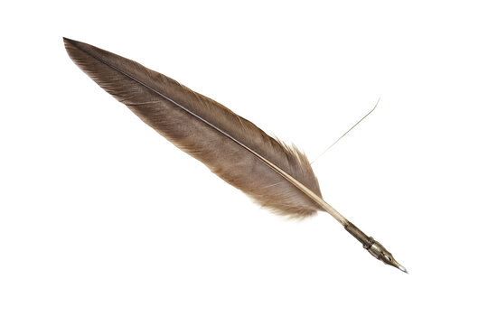 Classic brown quill pen with a metallic nib is elegantly positioned on a clean white background, ready for writing