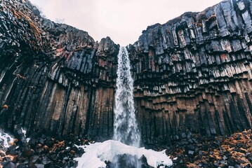 Svartifoss waterfall framed by black basalt columns in Iceland © meletispix