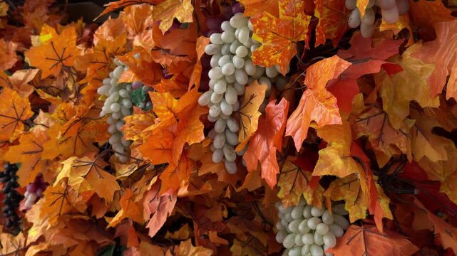 Autumn maple leaves with grape clusters &mdash; horizontal close-up, smooth right-to-left pan (b‑roll)