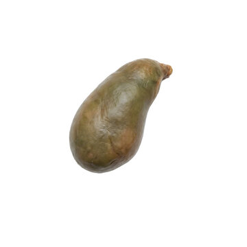 real anatomical  picture of human gallbladder with white background