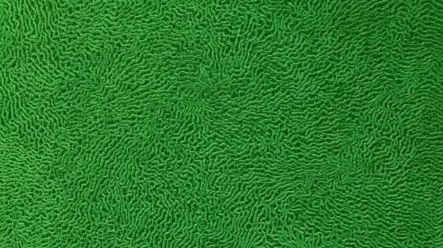 Green textured surface displays intricate wavy ridges in an abstract organic pattern