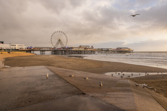 blackpool-central-pier-gulls-on-beach