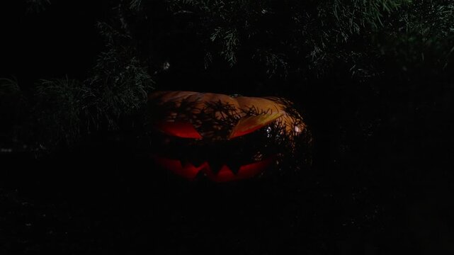 Close up shot of sinister illuminated pumpkin head surrounded by dark evergreen foliage in 120fps with moving organic shadows