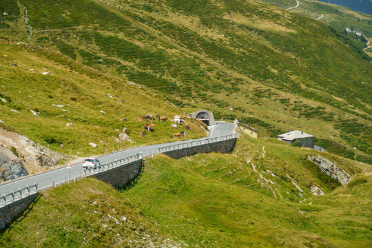 Winding road cuts through green mountain slopes in Italian Alps