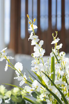 White flowering stalks are blooming in sunroom near wooden slatted partition and soft cushion