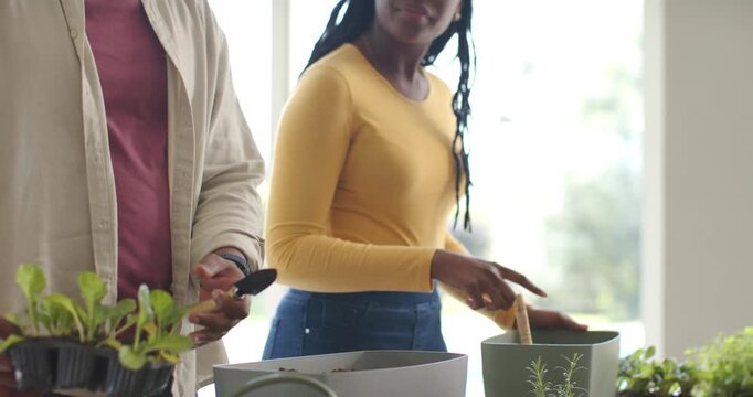 African American couple pointing and planting, aligning seedling tray, using trowel at home table
