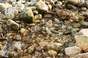 Mountain stream flowing over wet rocks and pebbles in Rascafria © Mandy