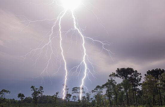 Rayo y rel&aacute;mpago de gran potencia impacta en el suelo y la selva en tormenta el&eacute;ctrica