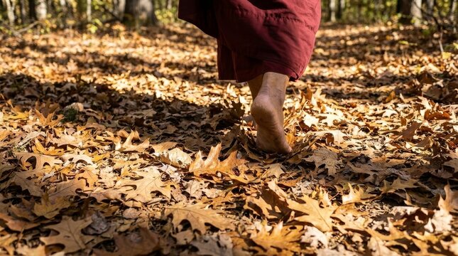 Low angle of monk walking on dry leaves in a sunlit forest