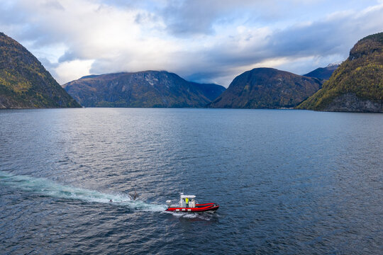 Aerial view of a red workboat towing a large tree through the deep blue waters of a Norwegian fjord, surrounded by steep mountains under a cloudy sky in Fjord, More og Romsdal, Norway.