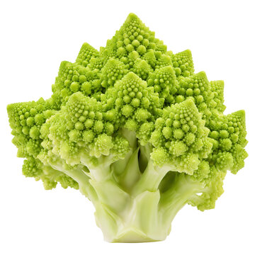 Close-up of fresh romanesco broccoli with unique fractal pattern
