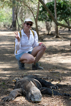 Tourists pose with Komodo dragons, tourists in Komodo National Park