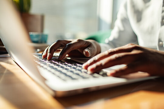 Hands typing on laptop at sunlit desk