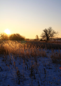 Golden sunrise over misty meadow with bare trees and sun rays in autumn countryside