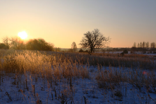 Golden sunrise over misty meadow with bare trees and sun rays in autumn countryside