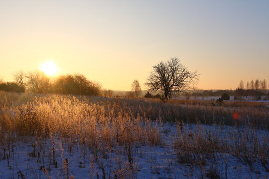 Golden sunrise over misty meadow with bare trees and sun rays in autumn countryside