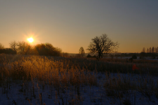 Golden sunrise over misty meadow with bare trees and sun rays in autumn countryside