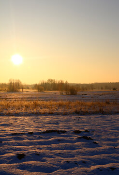 Golden sunrise over misty meadow with bare trees and sun rays in autumn countryside