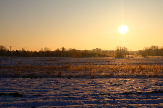 Golden sunrise over misty meadow with bare trees and sun rays in autumn countryside