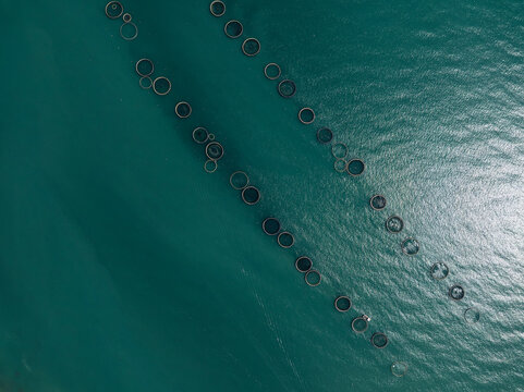Aerial View of a Large Offshore Fish Farm in the Adriatic Sea