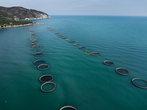 Aerial View of a Large Offshore Fish Farm in the Adriatic Sea