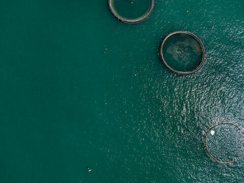 Aerial View of a Large Offshore Fish Farm in the Adriatic Sea
