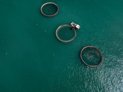 Aerial View of a Large Offshore Fish Farm in the Adriatic Sea