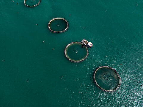 Aerial View of a Large Offshore Fish Farm in the Adriatic Sea
