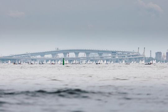 lots of sailing derricks on the horizon on a clear sunny day, young participants of the Optimist class city championship