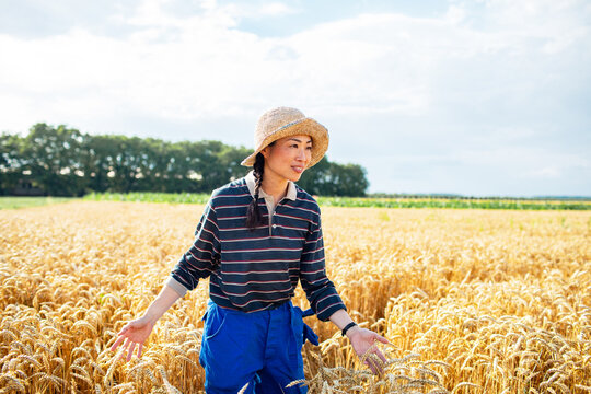 Female farmer walking through ripe wheat field