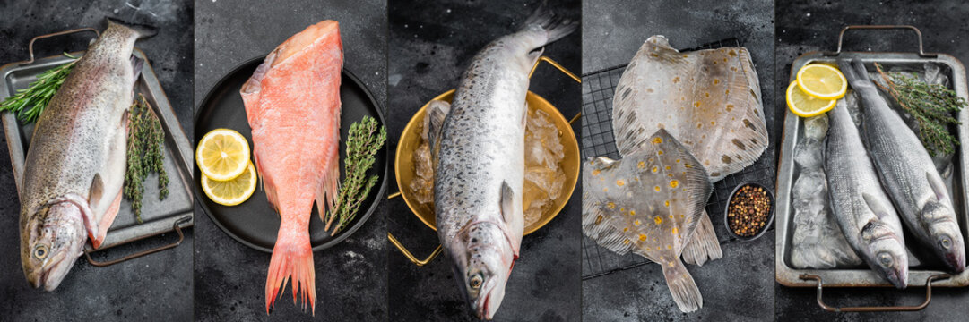 Whole raw fish in silver and pink tones displayed with lemon and herbs in a wide five panel rustic seafood collage
