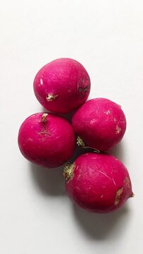 Four fresh red radishes, Raphanus sativus, raw root vegetables isolated on white background in Guatemala