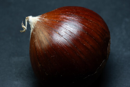 The quintessential autumn fruit: the chestnut