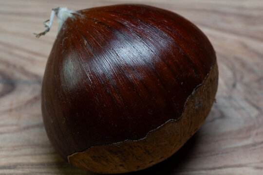 The quintessential autumn fruit: the chestnut